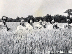 Урожай 1978 года колхоз "Октябрь" село Плавни.