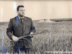 Председатель колхоза «Октябрь» Черненко Я.Я. на пшеничном поле.